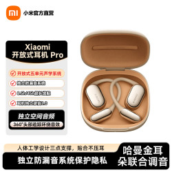 小米 开放式耳机Pro 钛光金
