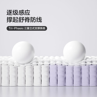 喜临门 工学Pro0胶记忆棉床垫+尼亚pro栗子棕床架 1.8*2米
