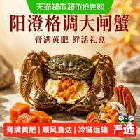 88VIP：阳澄格调大闸蟹全母2.8两-3.0两 蟹鲜活螃蟹湖蟹现货水产礼盒海鲜礼盒