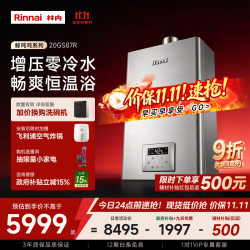 林内 JSQ40-GS87R 零冷水水伺服恒温 20L 天然气 燃气热水器