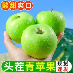 御品一园 青苹果新鲜水果整箱当季丑萍果净重4.5斤65mm起