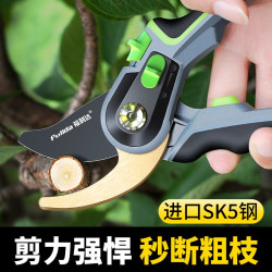 福利达 园艺剪刀修枝剪树枝专用省力果枝剪修花园林家用果树神器