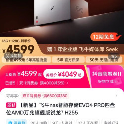 飞牛 EVO4PRO AMD H255