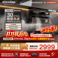 老板 小黑翼D1H系列 CXW-260-27A2S 变频侧吸式吸油烟机