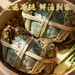 渔传播 活蟹渔传播固城湖大闸蟹母2两*8只保活
