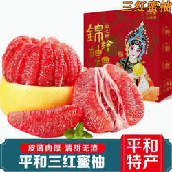 栀舒 特大果 福建平和 三红柚 三红蜜柚 4.5斤装 1-2个