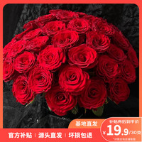 云选花礼 云南高原随机色玫瑰30枝鲜切花鲜花水养花源头直发