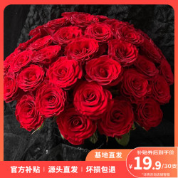 云选花礼 云南高原随机色玫瑰30枝鲜切花鲜花水养花源头直发