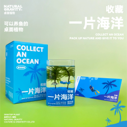 自然引力一片海洋棕榈莫斯微景观摆件