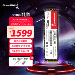 长城 M.2 SSD固态硬盘 2TB（PCI-E 4.0）