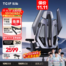 TGIF 电竞椅T0MAX人体工学椅久坐透气游戏办公电脑椅光年灰 T0MAX光年灰