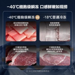 美的 100/200升冰柜小型家用商用一级冷冻冷藏冰箱冷柜