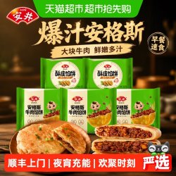 安井 顺丰上门安井安格斯牛肉饼/猪肉大葱馅饼 速食早餐冷冻半成品