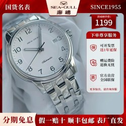 海鸥 官方正品海鸥手表男士简约夜光全自动机械表男款男表小钢炮6174