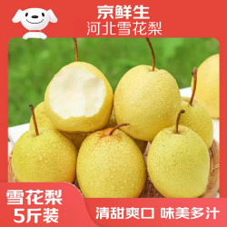 京鲜生 河北赵县雪花梨净重5斤单果250g+ 新鲜水果 源头直发