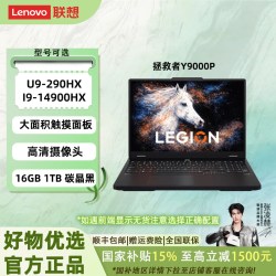 联想 拯救者 Y9000P（i9-14900HX、16G、1T、RTX 5060、黑色）