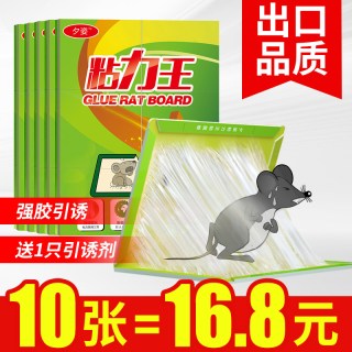 夕姿 强力粘鼠板 10张装 家用捕鼠器