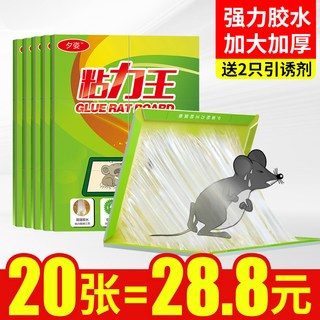 夕姿 强力粘鼠板 10张装 家用捕鼠器