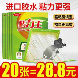 夕姿 强力粘鼠板 10张装 家用捕鼠器