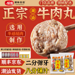 潮味优信 潮汕正宗牛肉丸爆汁牛筋丸子新鲜烧烤火锅食材