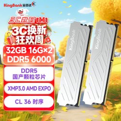 金百达 银爵 DDR5 6000MHz 台式机内存 马甲条 32GB 16GBx2 CL36