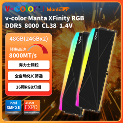 全何 XFinity DDR5台式机内存条 8000 48G(24Gx2) CL38 可超频 带电竞RGB灯条 海力士颗粒 8000MHz RGB 24G×2 CL38 1.4V 黑  48GB 2条套条
