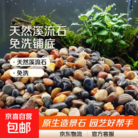 其它 原生溪流石造景鱼缸底砂装饰五彩石大石头头纯天然铺底免洗鹅卵石 11-16mm 半斤装