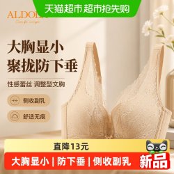 雅黛俪 性感蕾丝内衣女聚拢收副乳防下垂大胸显小调整型大码文胸罩