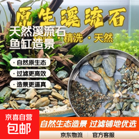 其它 天然原生态溪流石底砂鱼缸专用过滤铺地摆件火山石造景主石鹅卵石 天然溪流石（1-3cm）