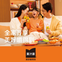 可口可乐 Minute Maid 美汁源 果粒橙 300ml*12瓶