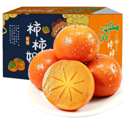 京满福 巧克力脆柿 甜脆柿子 新鲜当季应季时令水果整箱山西柿子带箱5-6斤，精选果110g