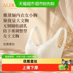 雅黛俪 内衣女小胸聚拢显大文胸无钢圈收副乳防下垂调整型女士文胸