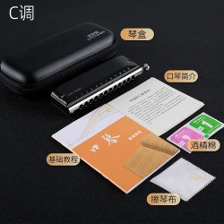 嘉德瑞 半音阶口琴十二12孔C调EVO-0648s初学者专业演奏级