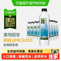 依能 天然苏打水 无糖无汽弱碱性 500ml*24瓶