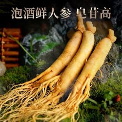 天池印象 长白山特产人参 煲汤泡酒 鲜人参1支（参+酒 6g*1袋 浸泡保鲜）
