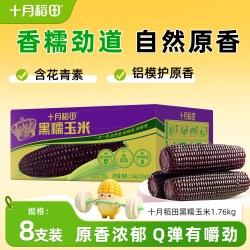 十月稻田 黄糯玉米白糯大棒东北苞米220gx8粘糯新鲜