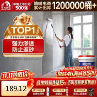 东方雨虹 墙倍丽固沙宝渗透型