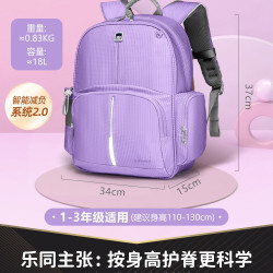 乐同 牛顿2.0系列 学生书包 LT-FB08
