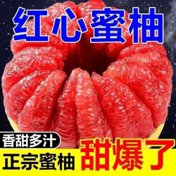 洽鲜果 福建红心蜜柚当季时令新鲜水果现摘红肉柚子产地批发10斤上