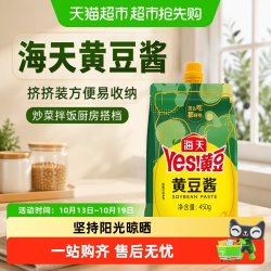海天 挤挤装方便易收纳 黄豆酱
