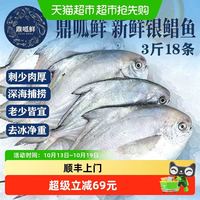 88VIP：鼎呱鲜 鲜活银鲳鱼 舟山深海鲜冻款 500g*3袋