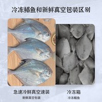 鼎呱鲜 银鲳鱼 舟山深海捕捞 500g*3袋