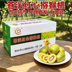 蜀农纪 四川苍溪红心猕猴桃10斤礼盒装树上熟奇异果当季新鲜水果中秋送礼