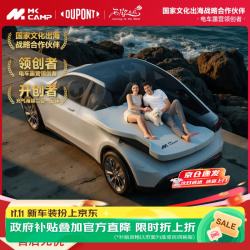 杜邦 DUPONT）特斯拉modely记忆棉车载床垫便携式双人卷压自驾汽车后排睡垫 Model Y