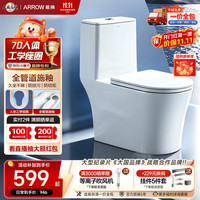 箭牌 AE1021M 连体式马桶 305mm坑距