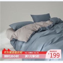 AIDLI 100支纯棉贡缎新疆长绒棉双拼全棉四件套 200*230cm