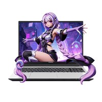 七彩虹 隐星P16 Pro 笔记本电脑（酷睿i5-13420H、RTX3050、16GB、512GB）