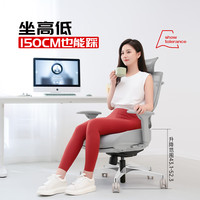 GTCHAIR 高田赛雷 人体工学椅子办公椅电竞电脑椅 觅柔标准款灰色