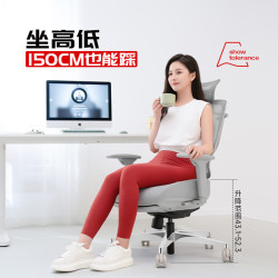 GTCHAIR 高田赛雷 人体工学椅子办公椅电竞电脑椅 觅柔标准款灰色