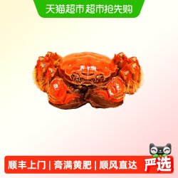 阳澄格调大闸蟹全母2.8-3.1两8只，精品鲜活螃蟹湖蟹现货水产礼盒海鲜送礼盒